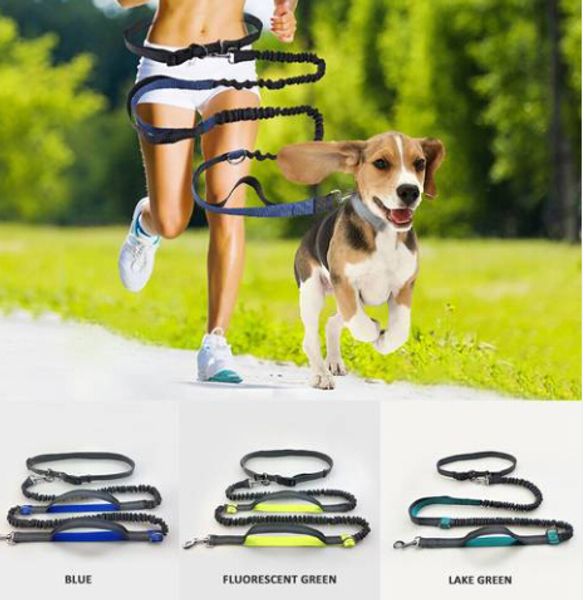 

wholesales reflective hands dog lead running jogging waist belt training bungee leash leashes dog collars