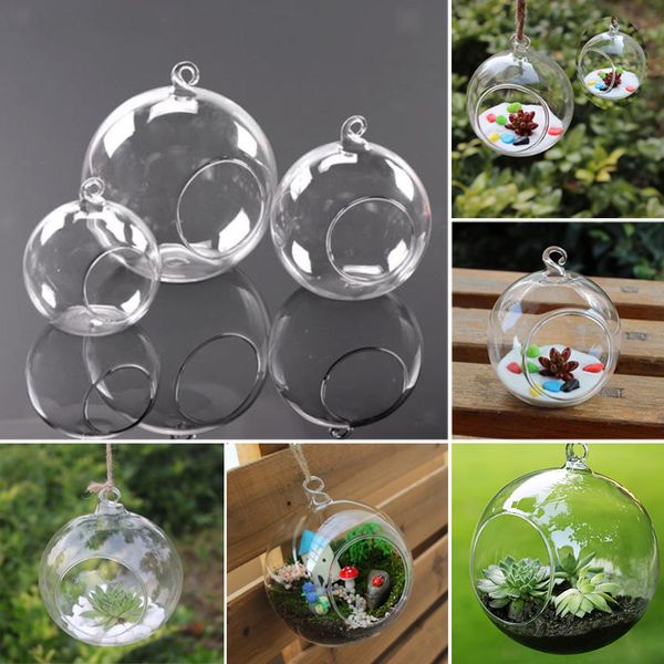 3size Clear Glass Vases Ball Flower Hanging Transparent Vase