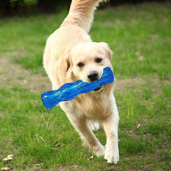 Escovar a escova de dentes mais eficaz do mundo para cães Toys molares de cães desodorantes não-tóxicos resistentes e resistentes à mordida