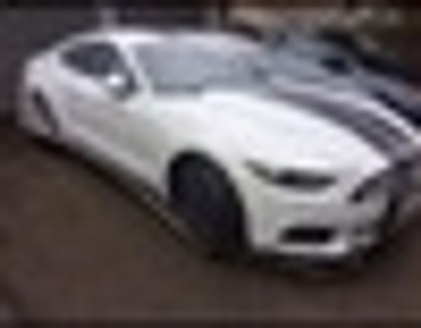 

disposable car cover plastic car cover with elastic band clear waterproof suv 24-feet by 16-feet