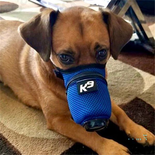 

собака мягкое лицо хлопок рот маски pet респираторный n95 фильтр анти-пыль газовое загрязнение морда анти-туман дымка маски для собак в нали, Blue