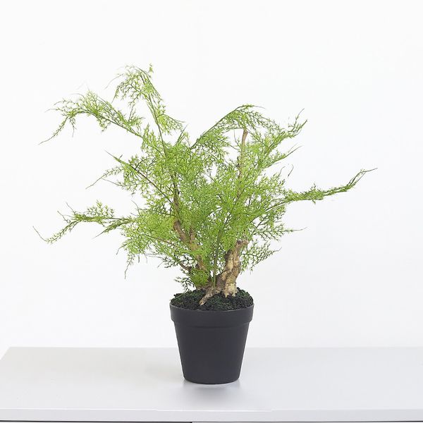 

artificial home decor lifelike indoor plants large fern bush potted plant tree