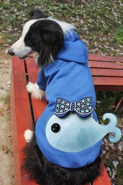 

new dog baby pet clothes cat vest manufacturers foreign trade wholesale pet sweater spring and summer t-shirt