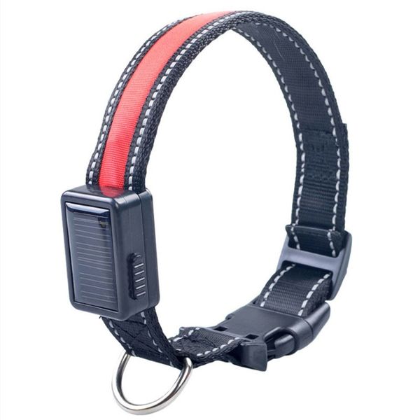 

светодиодные ошейник collar мигающий свет up night безопасности солнечные usb аккумуляторная водонепроницаемый регулируемая воротник pet оже