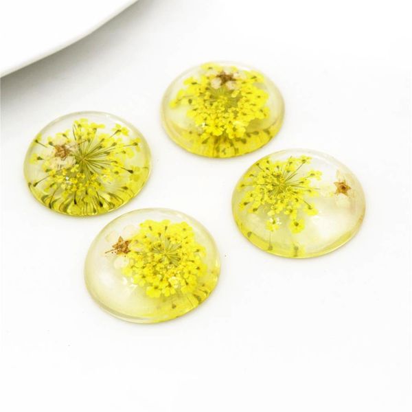 

новой мода 5шта 25ммы цветы смешивания природные сушеные белые хризантемы цветы кабошоны камея, Blue;slivery