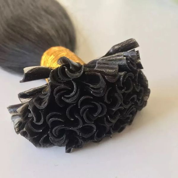 Ledon U Tip Nail Tip Hair Extensions Silky Straight St 1b