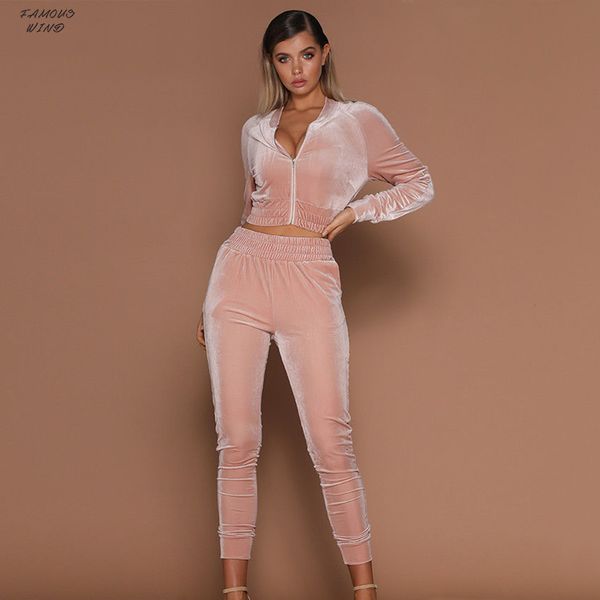 

autumn new women 2pcs short zipper hoodies sweatshirt elasic waist pants sets suit velvet womens tracksuit casual, Gray
