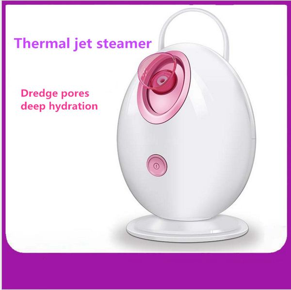 

steaming face sprayer new upgrade egg steam facer beauty instrument home steam facer