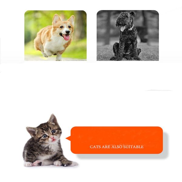 

kemei km-5002 электрическое животное бритва домашнего животного miglior rifinitore в носа да донне триммер сухая батарея gdxpm