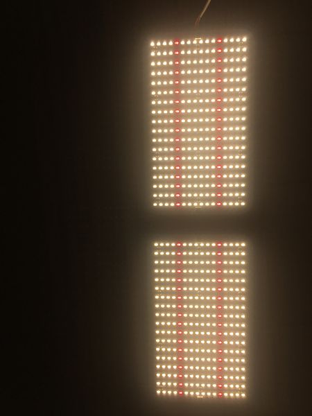 

2019 amazon selling led plant lamp quantum board indoor planting high-quality products, real feedback from users