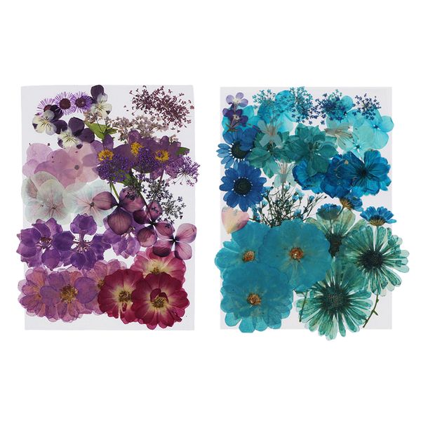 

1 set pressed real dried flowers diy scrapbooking card making puple & blue