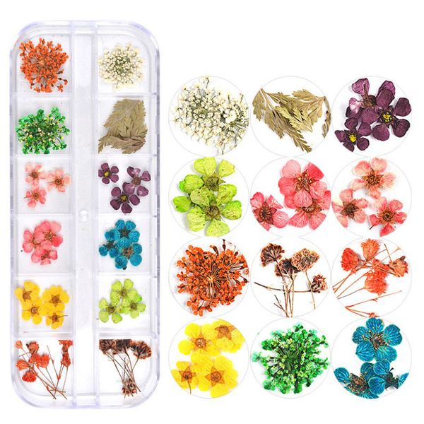

dried flowers leaf water transfer nail art sticker nails art decorations jewelry nail decals 3d dry natural floral sticker, Silver;gold
