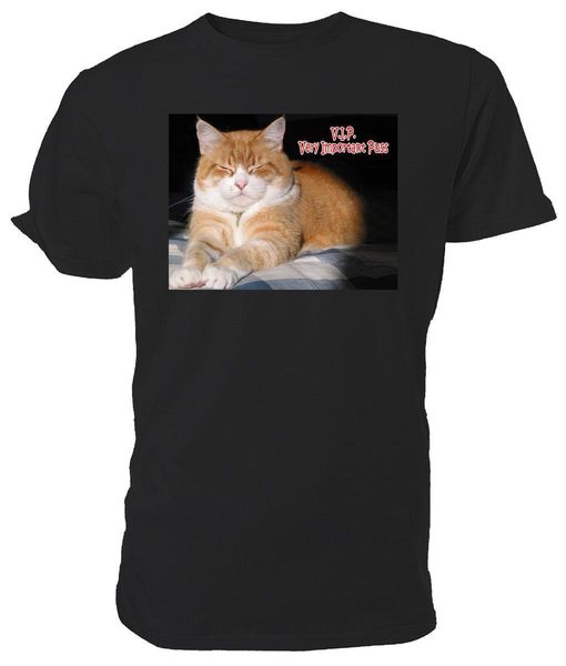 Satin Al Zencefil Kedi T Gomlek Vip Cok Onemli Kedi Beden Rengi Secimi 14 66 Dhgate Com Da