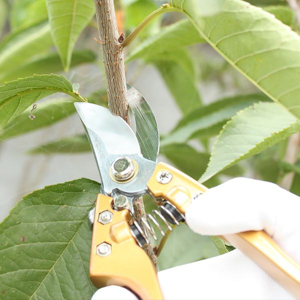

8inches pruning shears sk5 garden tree trimmers secateurs clippers scissors