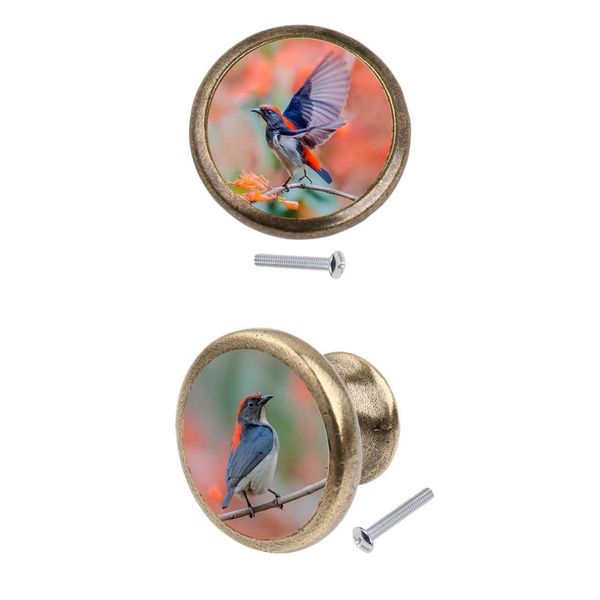 

2x retro brass wardrobe drawer door cupboard pull bin retro handle knob birds