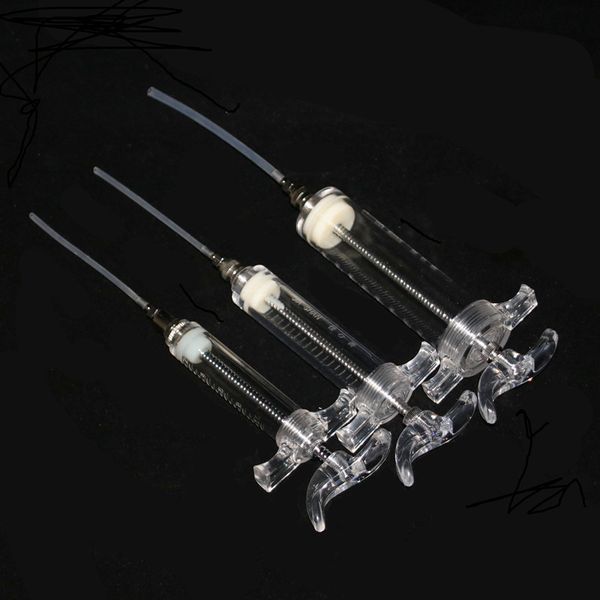 

major parrot young bird feed organ hand support parrot nurse organ parrot birds articles bird articles