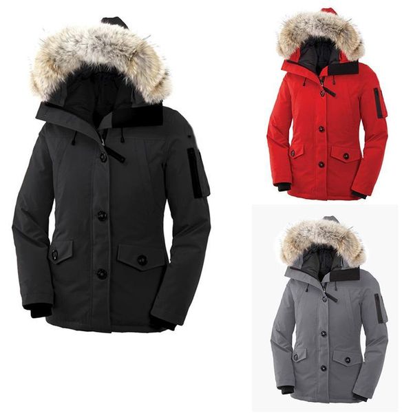 

2019 raccoon fur зима открытый канада жакеты cg womens свободный утолщение теплый вниз одежды женщины гусь пуховик зимнее пальто верхняя оде, Black