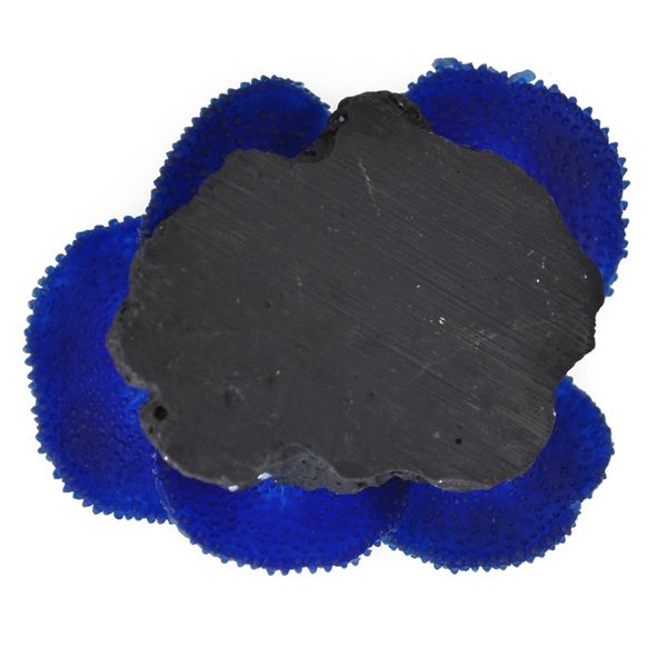 

аквариум завод искусственного коралла синие другие аквариумные рыбы