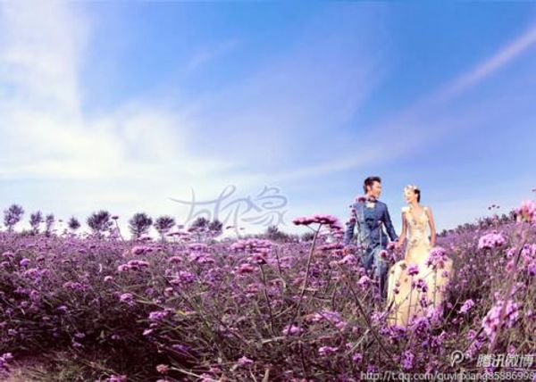 

test2019032000000000000, Black