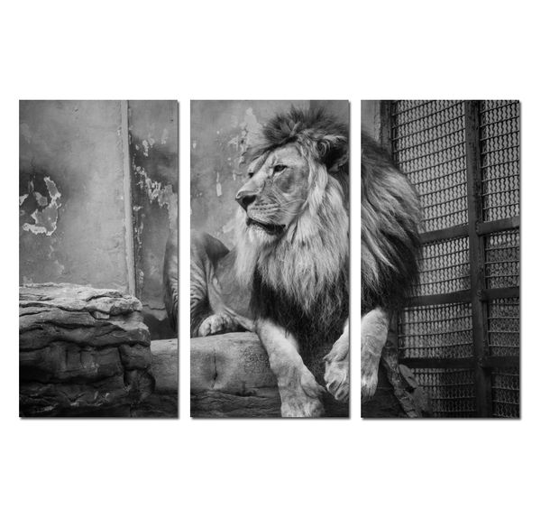 

3 panels modern fantasy animal awesome lion landscape print painting canvas wall art gift picture office living room home decor hyp-a1087