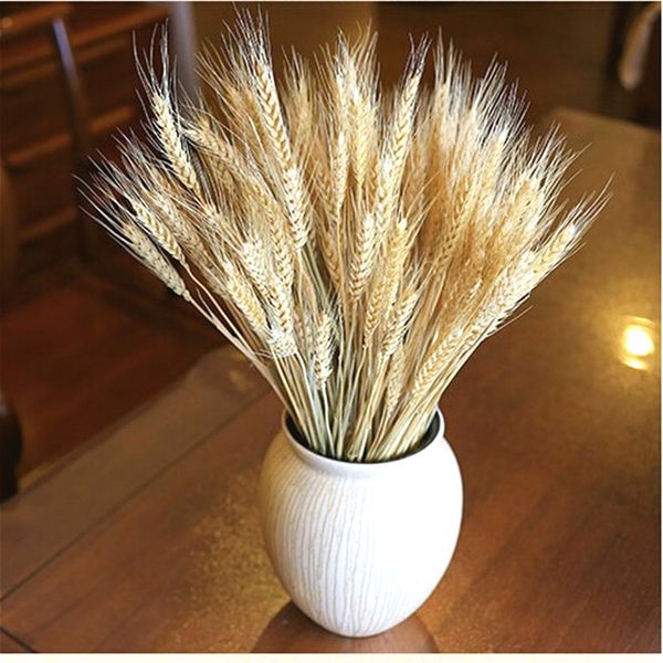 Acheter Briday Bouquet De Fleurs Séchées Décoratif De Décoration Blanche De Blé Séché Plante Naturelle Décoration De Mariage Fleur Sèche At 1 De 331