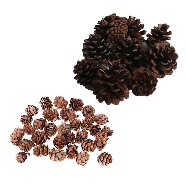 

40 pcs real natural small pine cones in bulk for accents decoration ornament