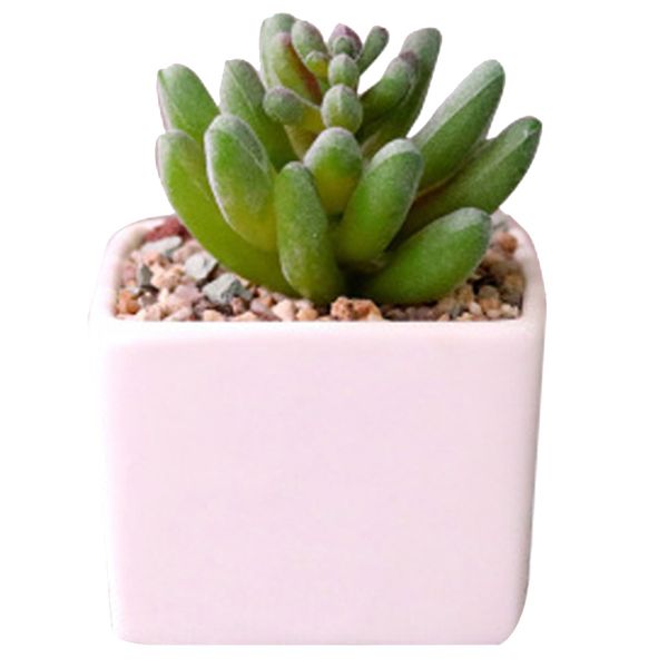 

square fake green plants mini wedding deskgift artificial succulent bonsai landscape garden home decor ceramic pot party