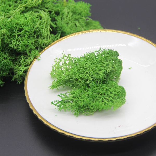 

200g/lot nature fresh preserved moss, eternell flower plant, christmas wedding home flower gift box decoration ,eternelle rose