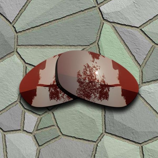 

bronze brown sunglasses polarized replacement lenses for twenty xx 2012
