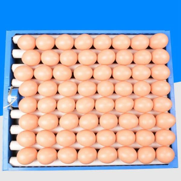 

1 set of 360 degree chicken eggs turner automatic incubator duck ostrich poultry egg tray farm hatchery supplies