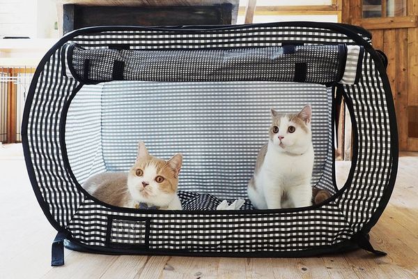 

portable cat cage playpen exercise kennel foldable dogs cat indoor outdoor removable mesh shade cover travel removable cages