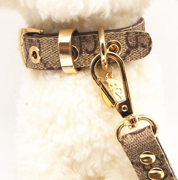 

Classic pet collar 2020 new leather traction rope suit with packing box pet supplies wholesale free shipping 040701