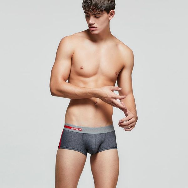 

new fashion boxer shorts cotton underwear men's boxer solid hipster male pyjama underwear intimates hombre for men, Black;white