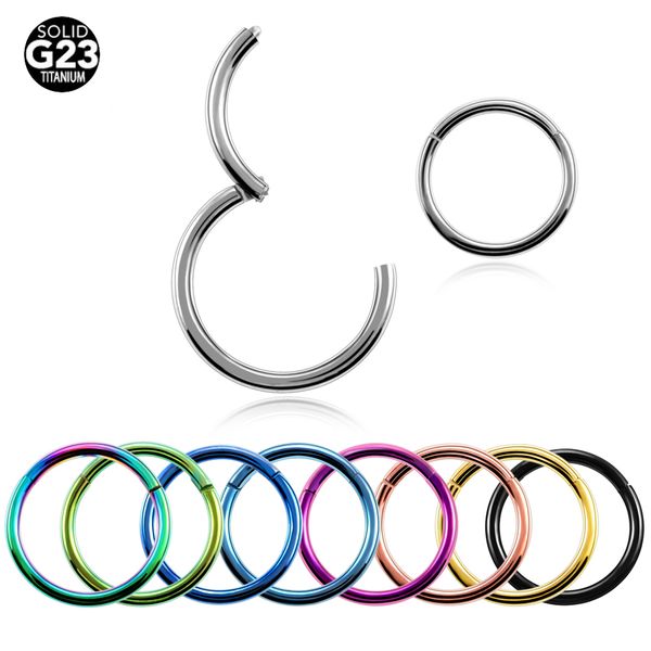 

2pcs g23 grade titanium nose piercing segment hinged rings cartilage earrings helix piercings labret pvd universal body jewelry, Slivery;golden