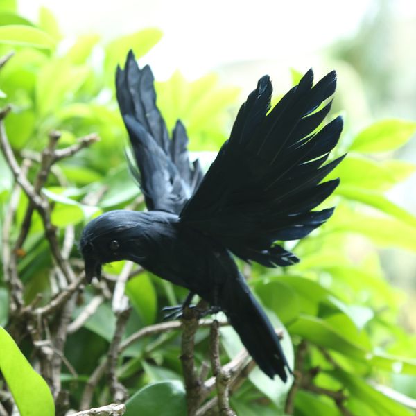 

realistic decoy fishing hunting outdoor garden vivid decor flying crow decor