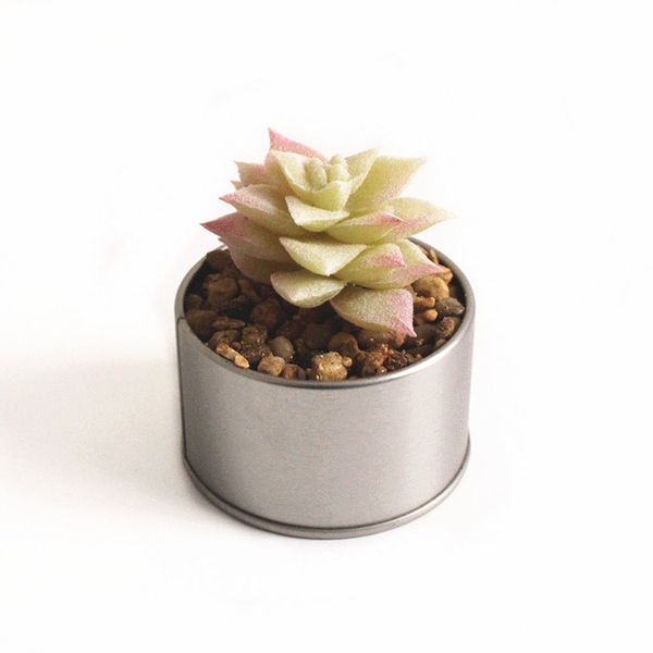 

mini artificial succulents plant fake cactus home floral garden miniature decor
