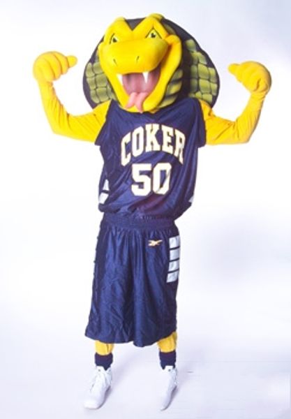 

custom yellow cobra mascot costume size fancy carnival costume free, Red;yellow