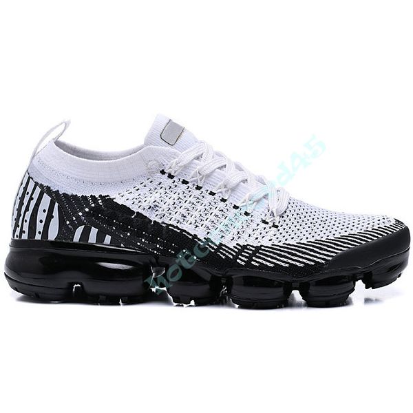 animal pack zebra