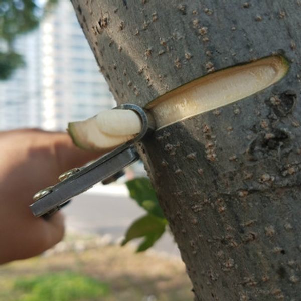 

new ring stripping pliers jujube stripping tool peeling knife armor cutting bark fruit tree ring cutting