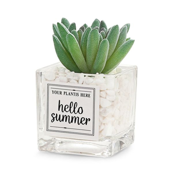 

artificial succulent plants leaf deskdecoration portable stones glass bottle portable and compact artificial plants