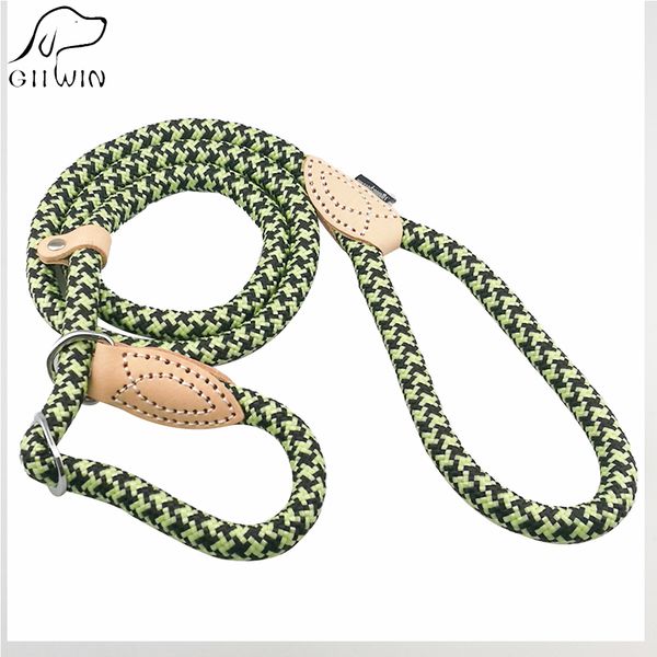 

giiwin] pet products for large dog leash collar harness puppy cat accessories breakaway pet dog leash lead basic collars py0235