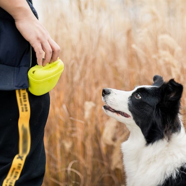 

portable dog feeding training bags pet puppy pouch walking treat snack bag detachable storage waist pocket
