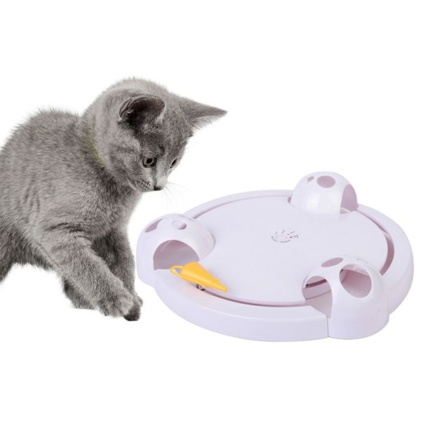 chat interactif