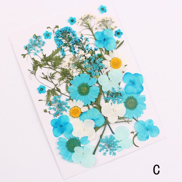 

pressed flower mixed organic natural dried flowers diy art floral decors collection gift lbshipping