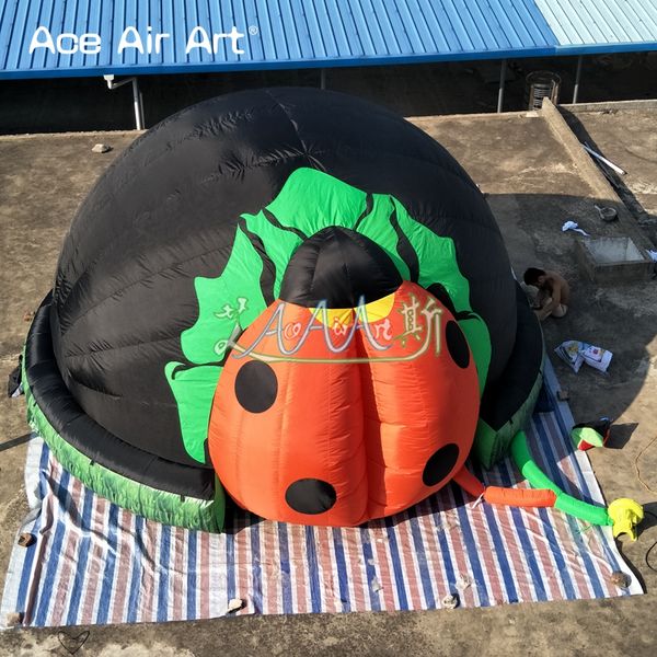 Güzel böcek şeklindeki şişme planetaryum kubbe çadır filmi keçe oyuncusu astronomi için Ace Air Art