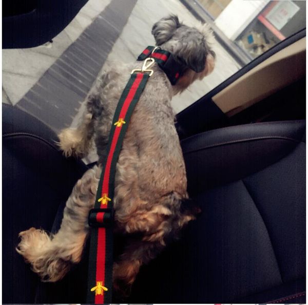 

embroidery animal dog collar flashers safety collar pet leashes fashion teddy schnauzer adjustable strap vest collar car seat belts