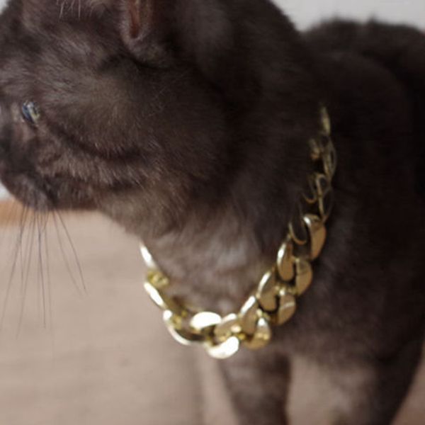 

мода собака pet воротник толстая цепь ожерелье позолоченный пластиковый щенок воротник ювелирные изделия аксессуары кулон золотая цепь