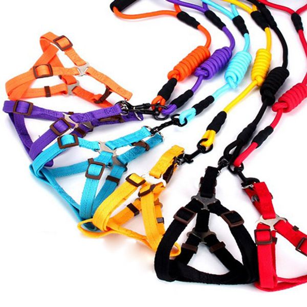 

ошейники приводит автомобиль автомобиль собака ремень безопасности pet собаки ремень безопасности автомобиля жгут ведущий зажим рычаг безопа