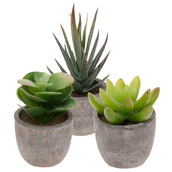 

artificial succulent plants series plastic decorative grass collection, pack of 3