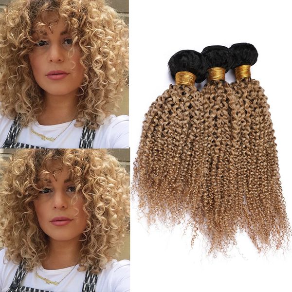 2019 Honey Blonde Ombre Kinky Curly 3bundles Brazilian Virgin Hair Extensions 1b 27 Light Brown Ombre Curly Human Hair Weave Wefts Dark Root From